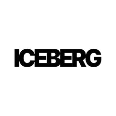 iceberg